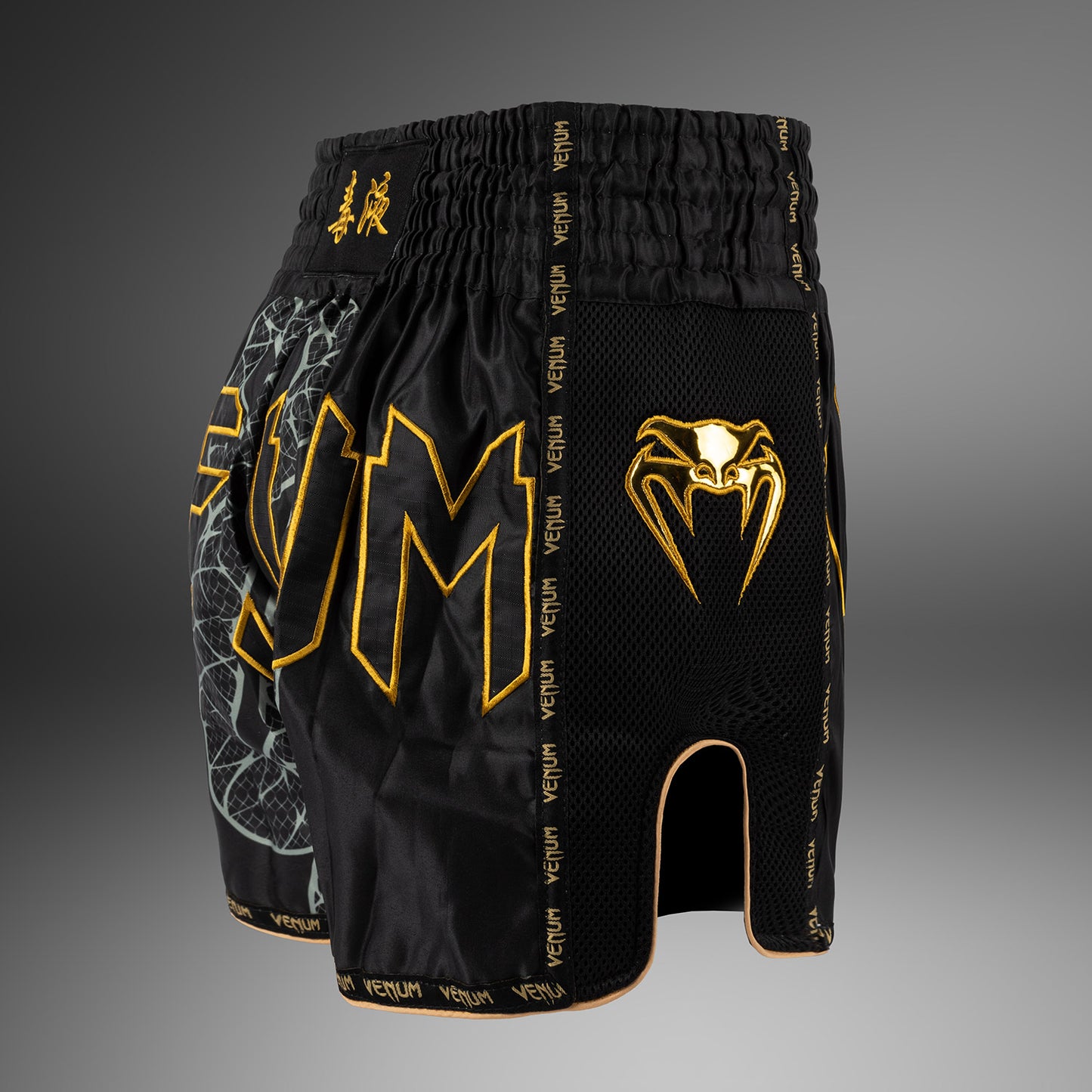 Venum Serpenti Muay Thai Shorts - Black/Silver/Gold