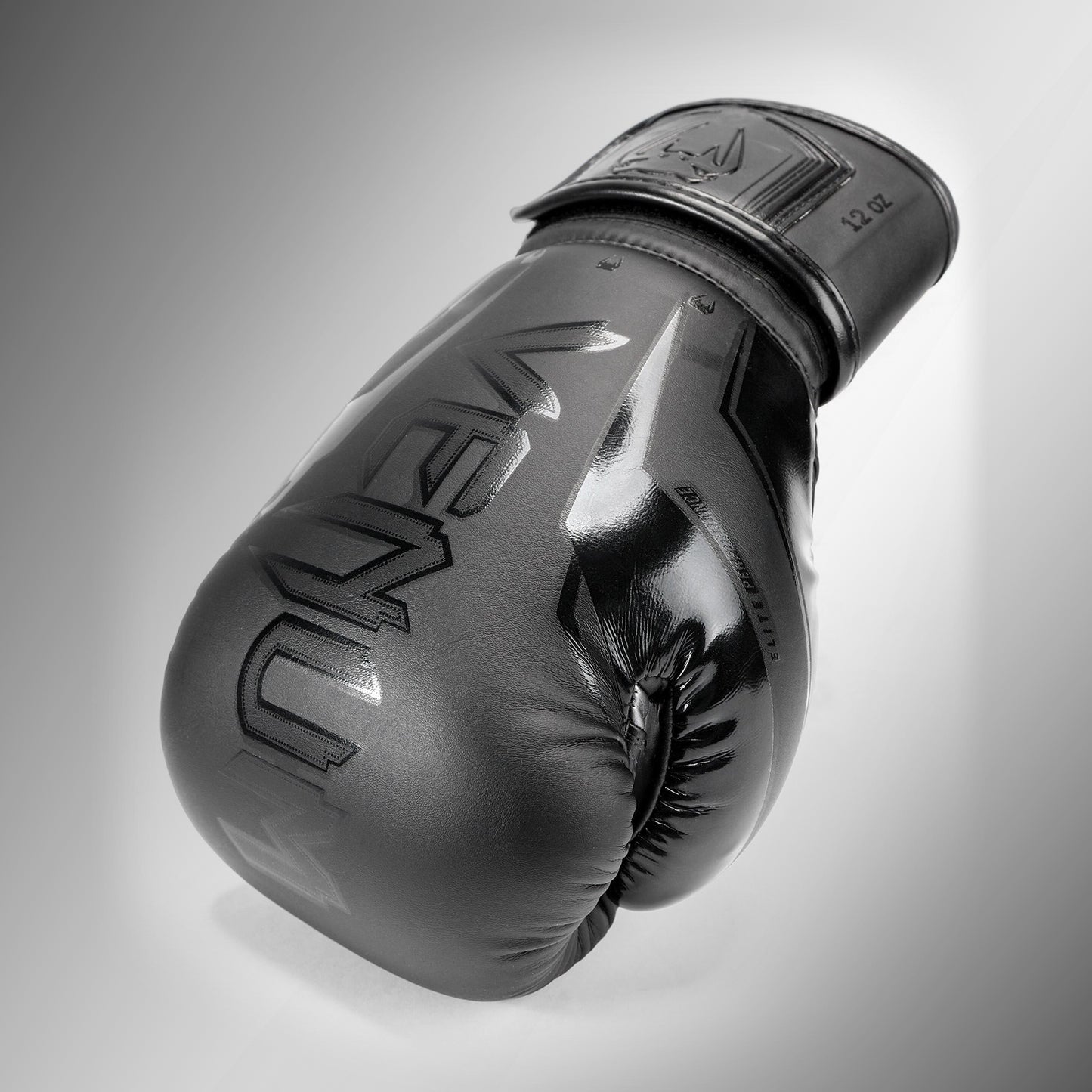 Boxing Gloves Elite Evo Venum - Black/Black