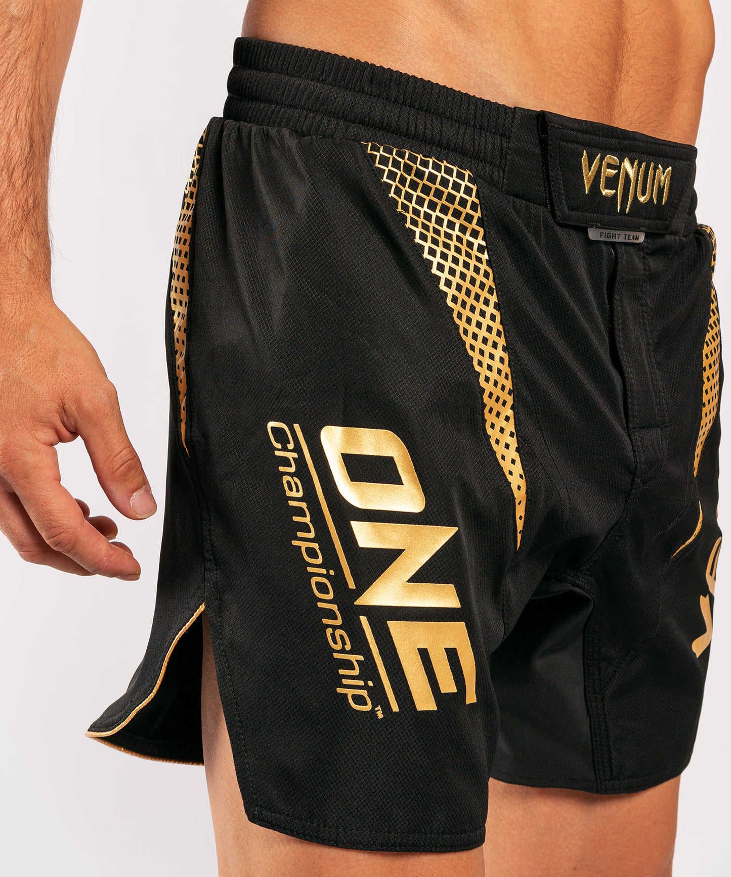 Venum x ONE FC Fightshorts