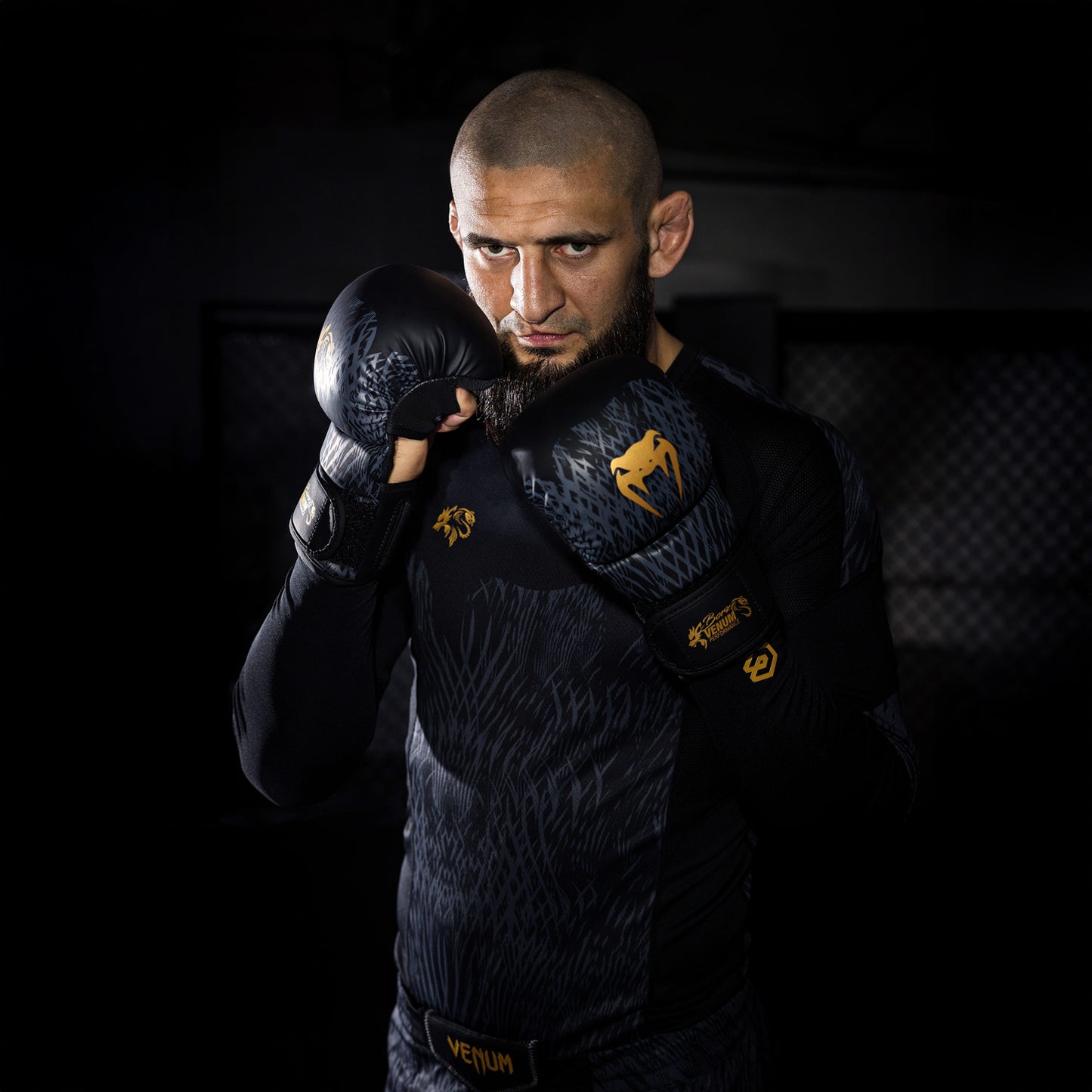 Venum x Chimaev Sparring Gloves - Black/Gold