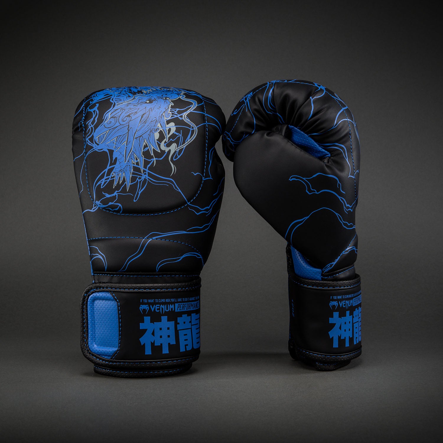 Venum Thunder Dragon Boxing Gloves - Black/Royal Blue - Venum Asia