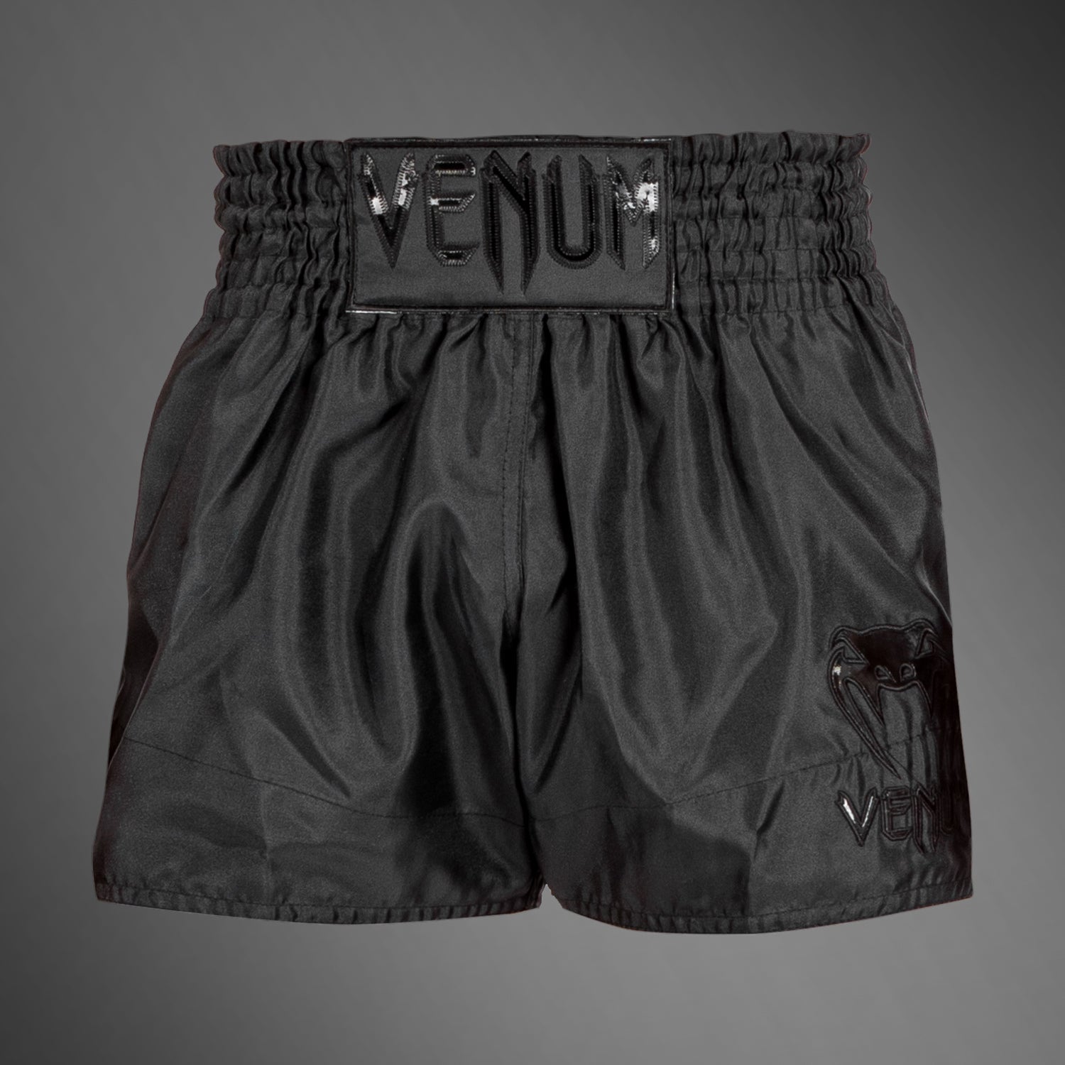 Shorts for Men - Venum Asia