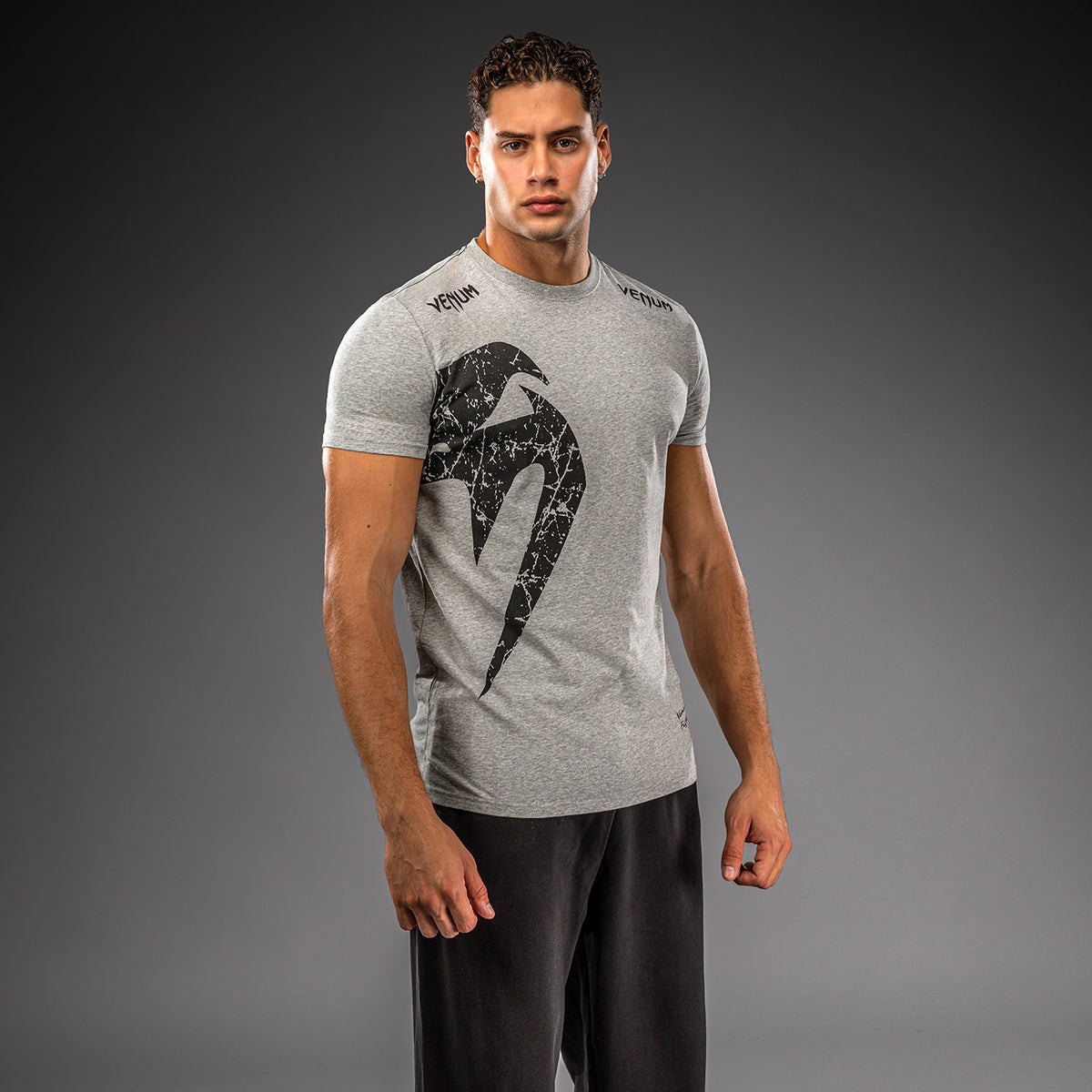 Venum Giant T-shirt - Grey/black