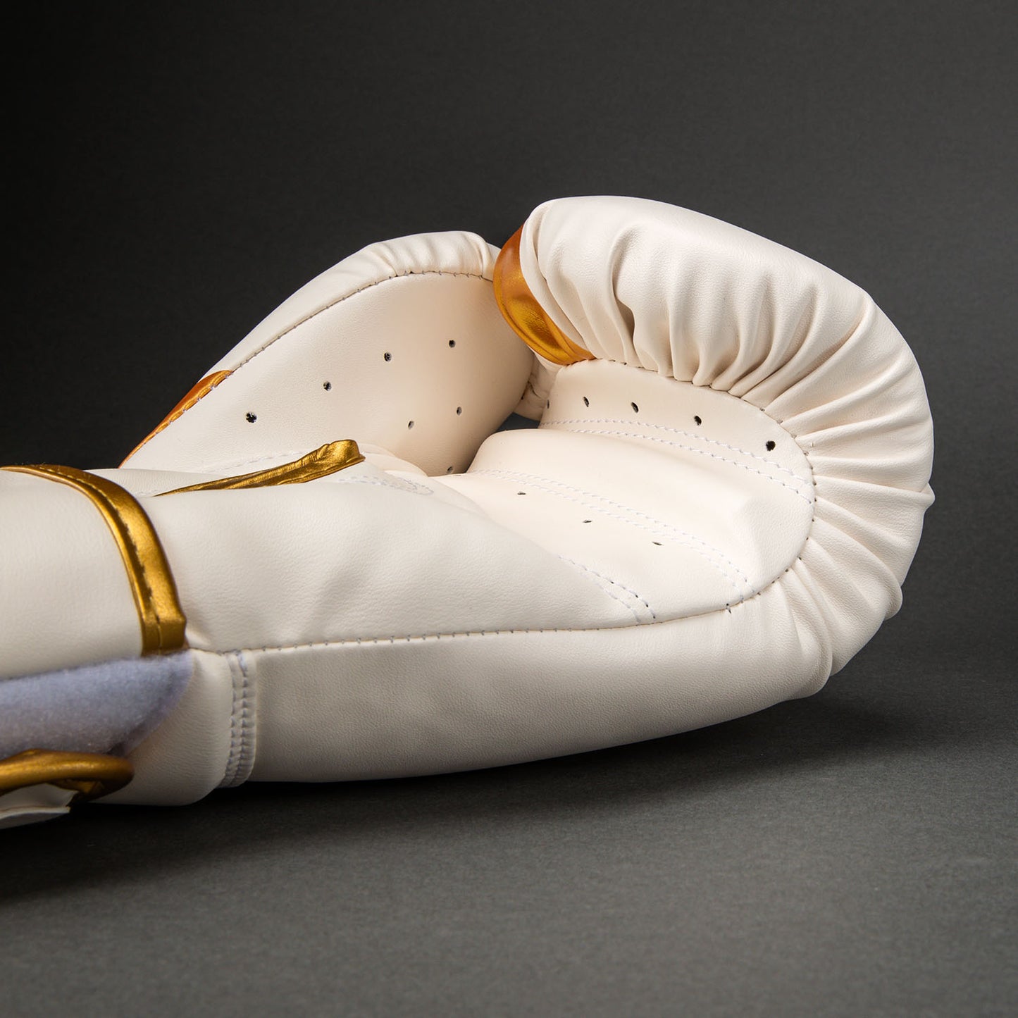 Venum Challenger 2.5 Boxing Gloves – White/Gold