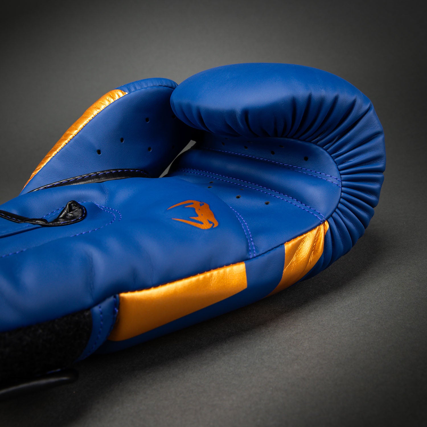 Venum Elite Boxing Gloves - Royal Blue - Special Edition - Venum Asia