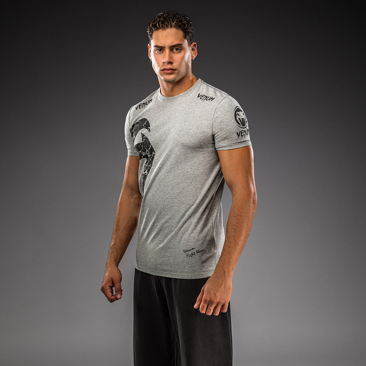 Venum Giant T-shirt - Grey/black