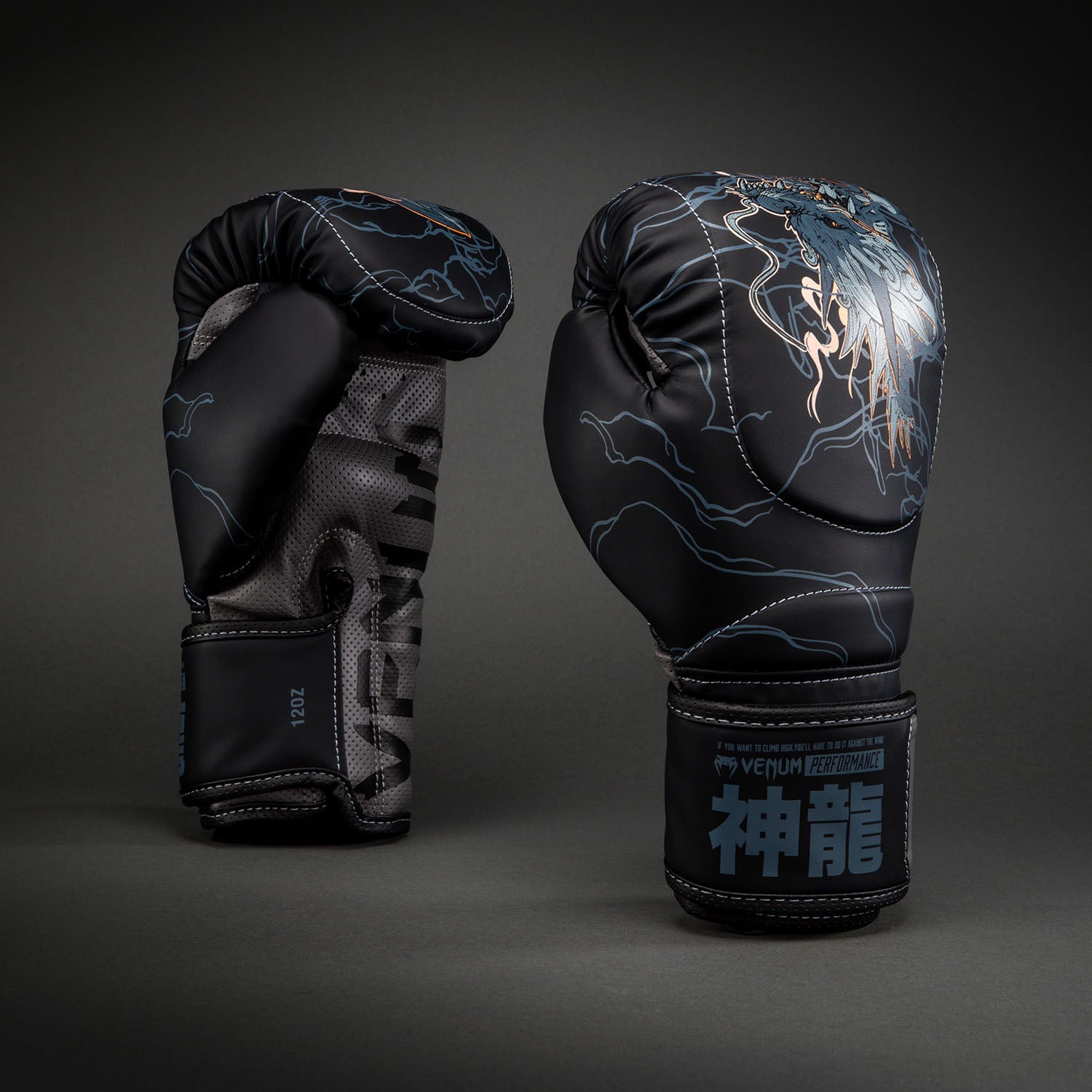 Venum Thunder Dragon Boxing Gloves - Black/Grey/Copper - Venum Asia