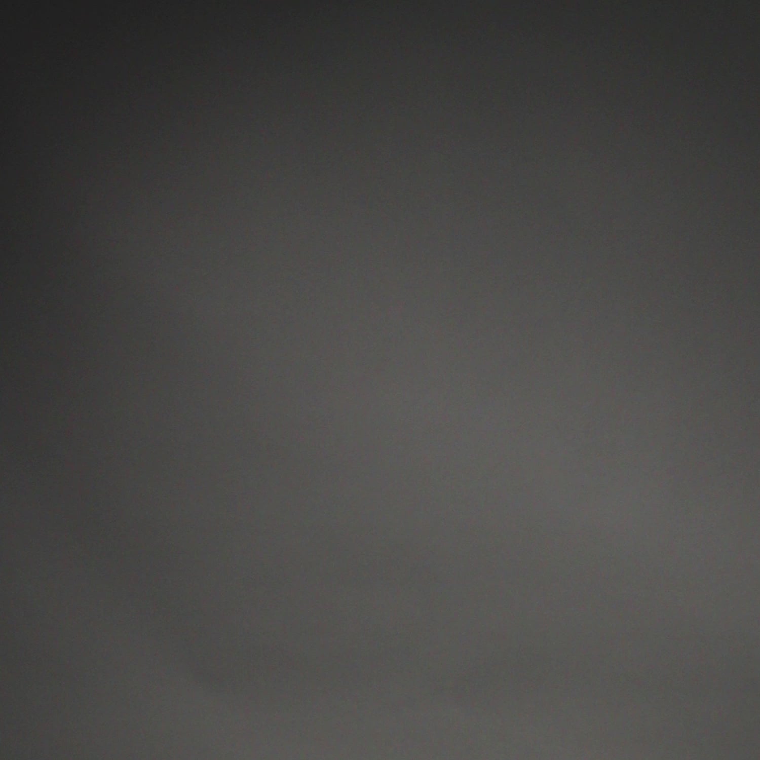 VENUM-06307-100
