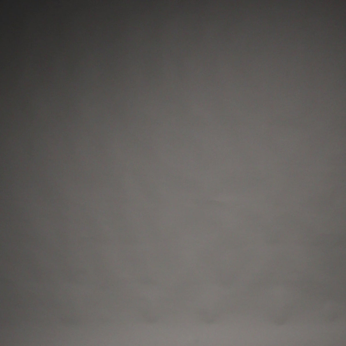 VENUM-06516-059